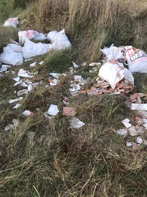 La runa present en el camp pròxim al Camí de Consegrua..