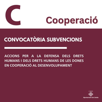 La convocatòria de subvencions de Cooperació tanca amb 22 projectes presentats..