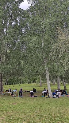Al matí, s'ha pogut gaudir d'una pràctica de ioga en plena natura.