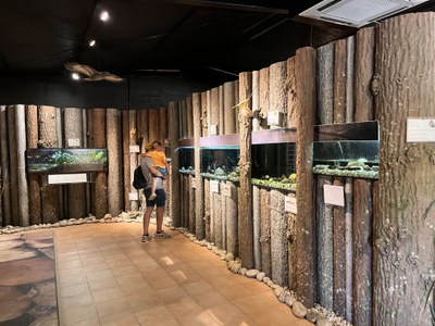 L'exposició actual del centre d'interpretació.