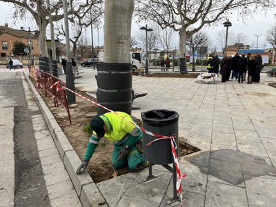 L'actuació inclou habilitar noves zones amb plantes arbustives.