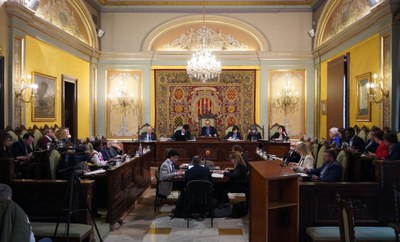 L'Ajuntament de Lleida ha celebrat el ple del mes de febrer aqeust divendres.