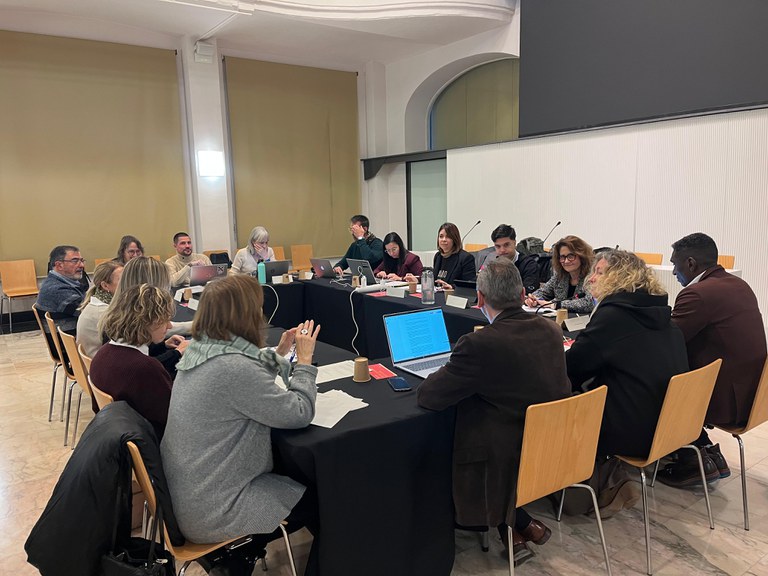 La Comissió Informativa de la Capital Cultural i les Oportunitats s'ha celebrat avui a la sala Alfred Perenya