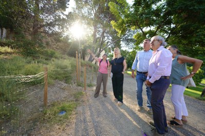 Un moment de la visita de finalització de treballs que ha realitzat avui l'alcaldessa accidental..