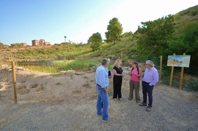 L'espai de la nova bassa renaturalitzada..