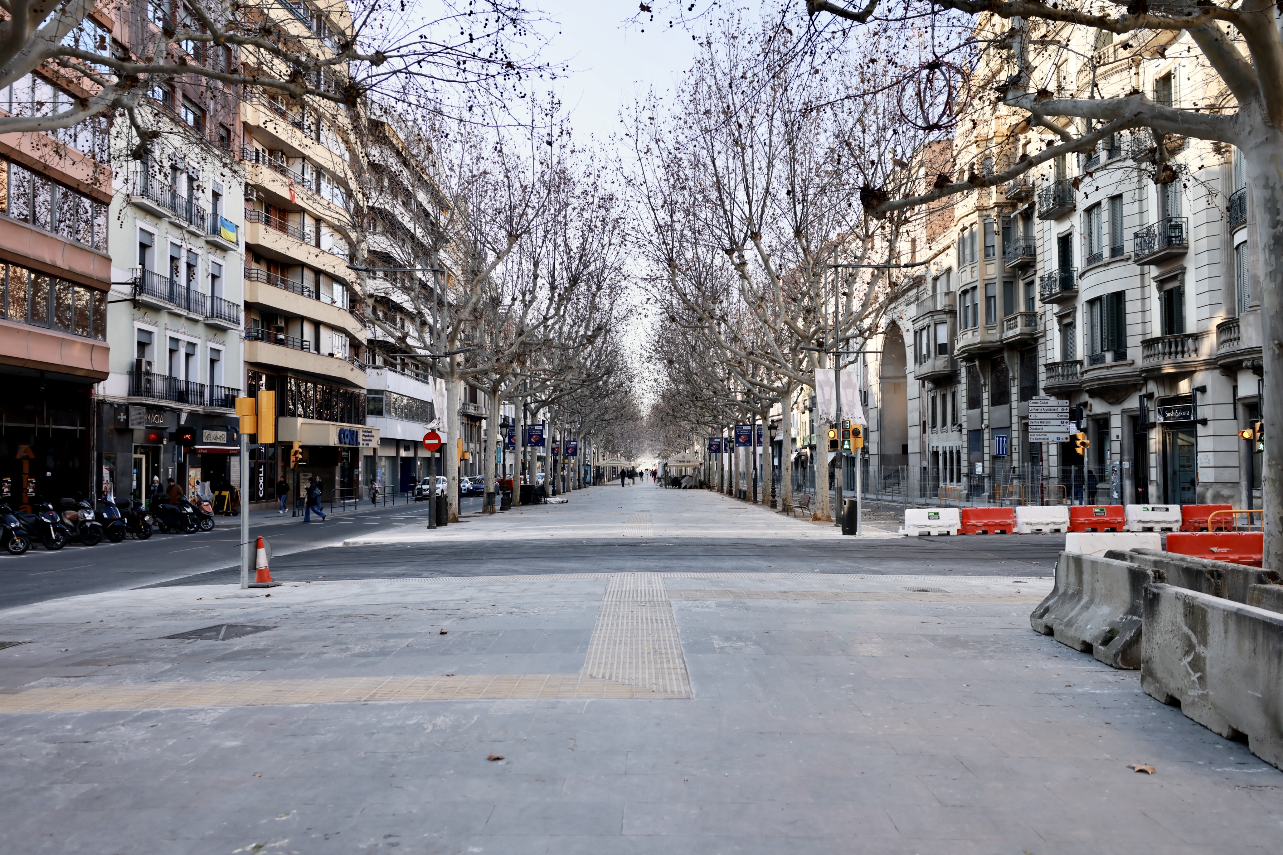 Imatge del tram central de la Rambla