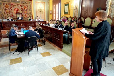 Mercè Trepat, de l'Associació Projecte Lleida, ha intervingut en la sessió.