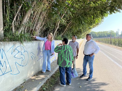 El veïnat de la partida havia demanat dur a terme aquesta actuació perquè l'arbrat envaïa el camí.
