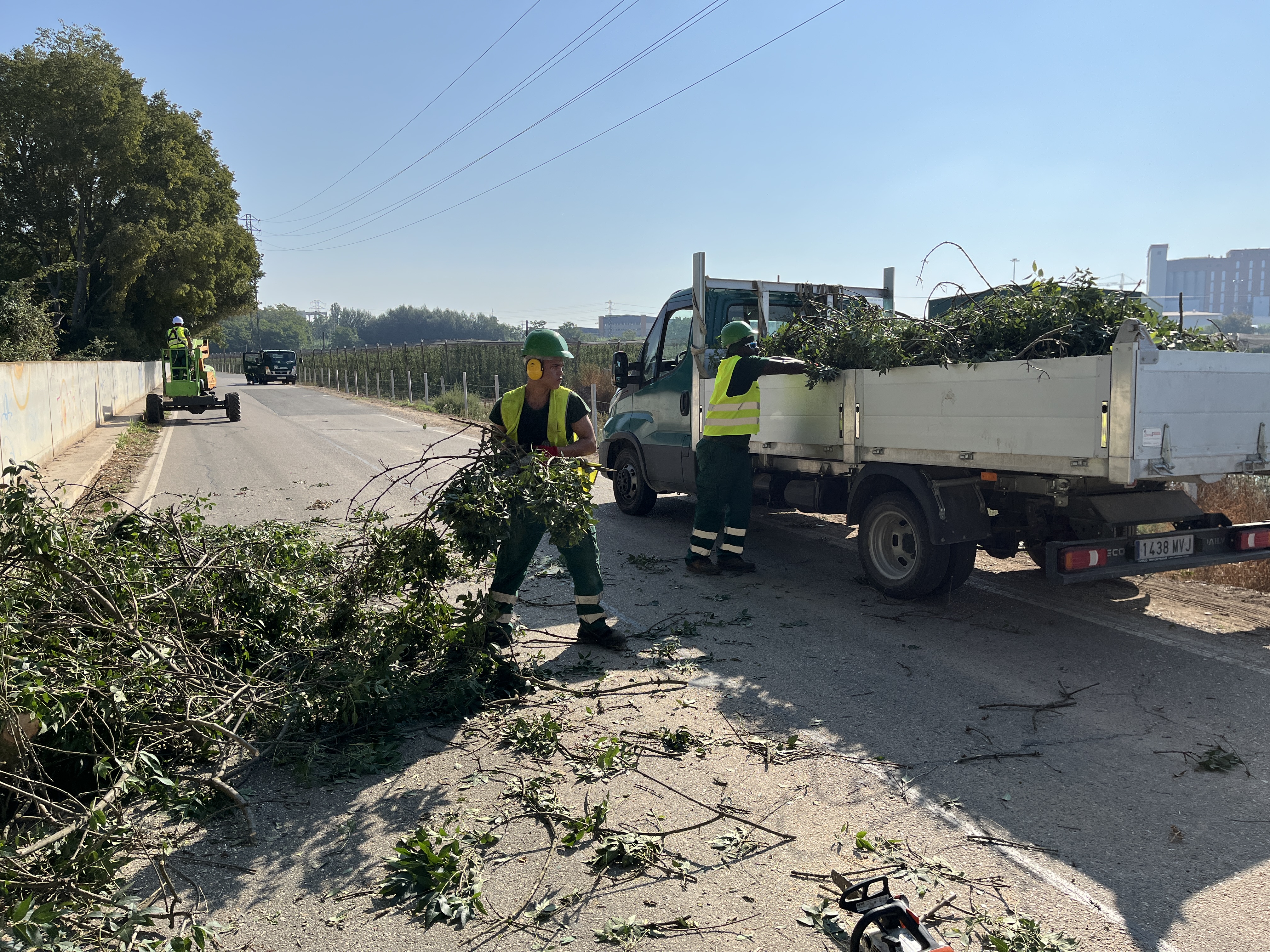 Els operaris recollint branques tallades