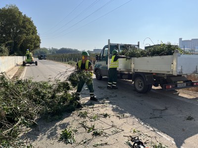 Els operaris recollint branques tallades.