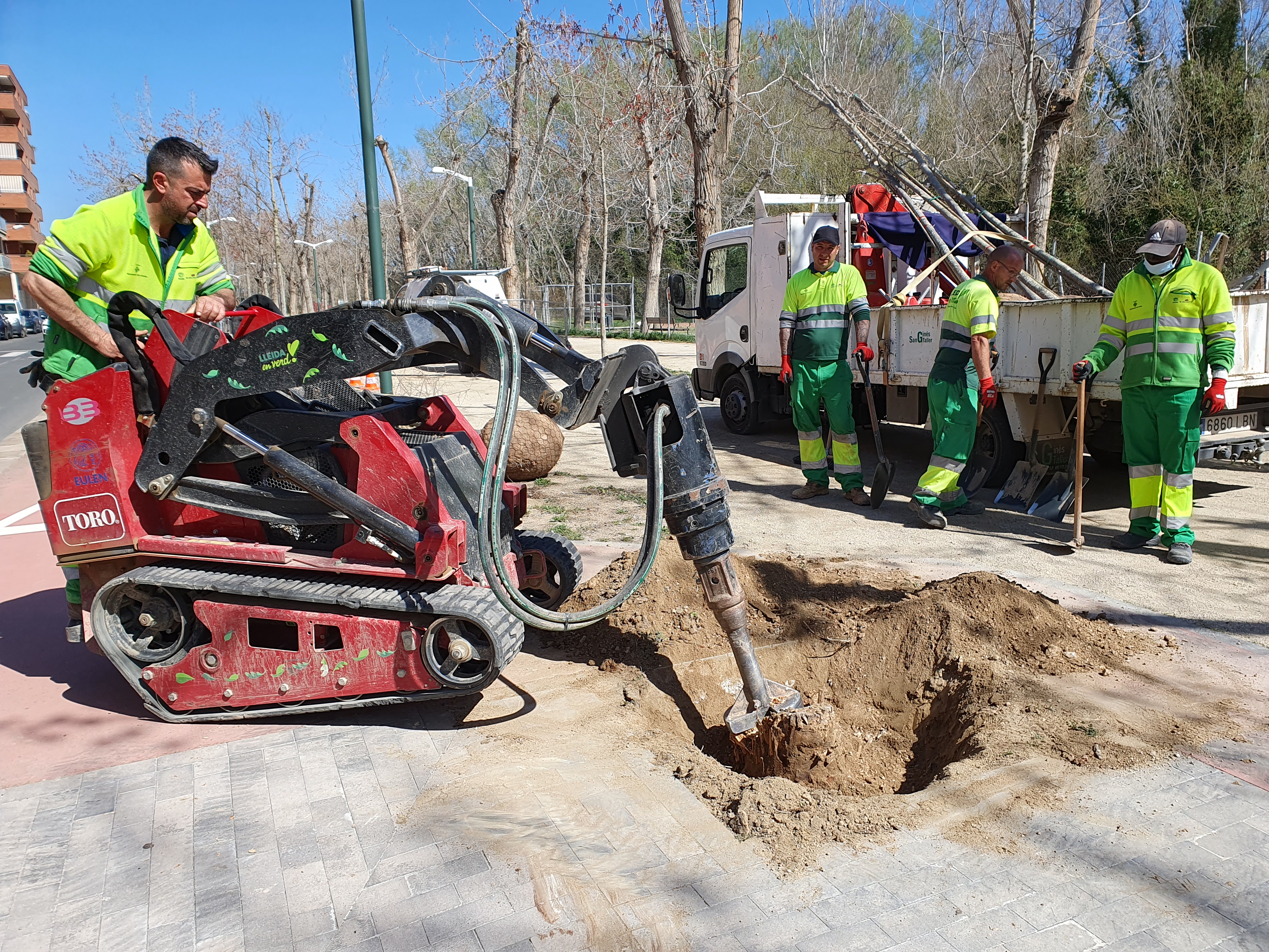 Abans de plantar el nou arbre, cal retirar la soca del vell