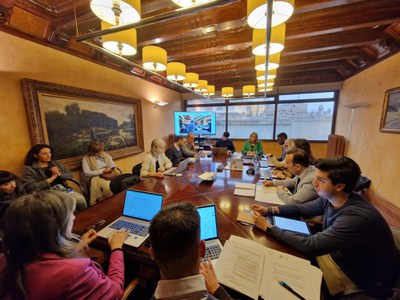 Imatge de la reunió de la Comissió Informativa d'Acció i Innovació Social del mes de febrer.