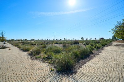 Imatge del solar on s'ubiquen aquestes finques, al sector de Torre Salses (SUR-42).