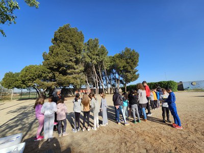 L’Ajuntament de Lleida, a través de la Regidoria de Sostenibilitat, ha endegat el projecte “Oasis de Biodiversitat” en els patis escolars de 15 centres educatius de la ciutat.