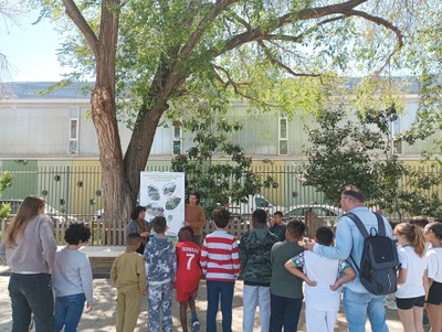 L'alumnat i els docents de l’escola, conjuntament amb els tècnics de la Paeria, realitzaran un procés participatiu fins a finals de curs per detectar….
