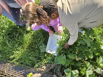La iniciativa té com a objectiu fomentar i consolidar la presència d’elements naturals i els petits ecosistemes als patis escolars perquè l’alumnat i….