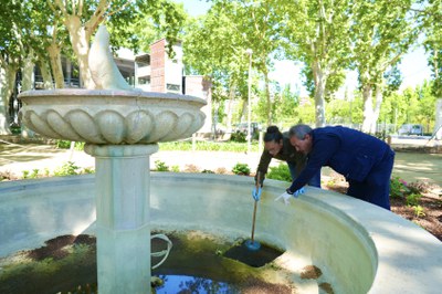 Tasques de revisió d'una font als Camps Elisis per detectar la presència de larves.