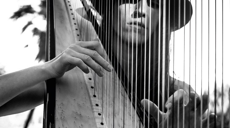 L’espectacle “L’arpa que parlava amb els estels. Música en commemoració a Joan Oró” se celebrarà divendres, 7 de juliol, al Castell Templer de Gardeny