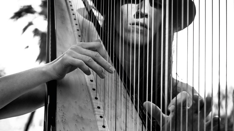 L’espectacle “L’arpa que parlava amb els estels. Música en commemoració a Joan Oró” se celebrarà divendres, 7 de juliol, al Castell Templer de Gardeny