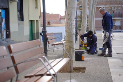 Les tasques de substitució dels bancs.