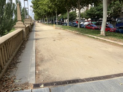 Vista d'una part del tram on s'actuarà.