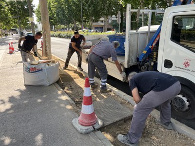 Davant del Centre d'Atenció Primària la brigada municipal s'està duent a terme tasques d'arranjament dels escocells de sauló.