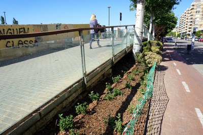 També s'ha millorat aquest espai a l'accés a la passarel·la.