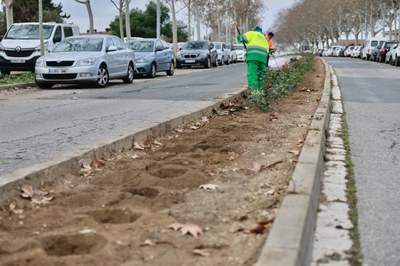 Operaris treballant en les tasques de plantació.
