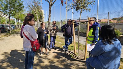Visitants de Sendes Arbrades, al seu pas entre avinguda de Pinyana i el carrer Corregidor Escofet.