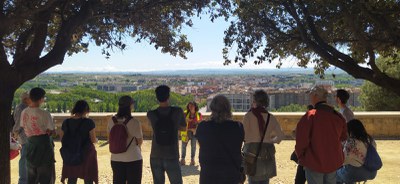 Visita a la Seu Vella.