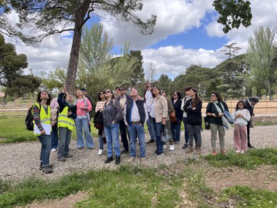 Assistents a la visita al Parc de les Basses observant un dels arbres.