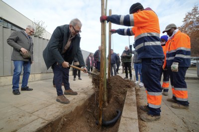 Larrosa ha col·laborat en la plantació d'un dels arbres.