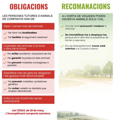 Díptic de la campanya.