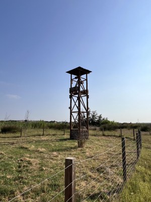 L'actuació té l’objectiu de renaturalitzar basses urbanes ja existents i la col·locació d’elements per afavorir la biodiversitat urbana, com són hotels d’insectes i torres de biodiversitat amb caixes nius per diferents espècies..