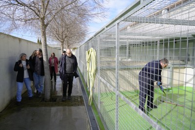 Visita al Refugi dels Peluts, el Centre d'Acollida d'Animals de Companyia de Lleida (CAAC).