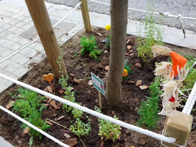 Un dels escocells on l'entitat Escocells Lleida ha plantat vegetació.