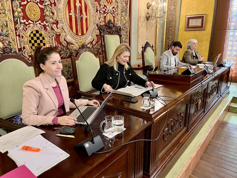 La primera tinenta d’alcalde, Begoña Iglesias, ha presidit avui el ple per delegació de l’alcalde, Fèlix Larrosa
