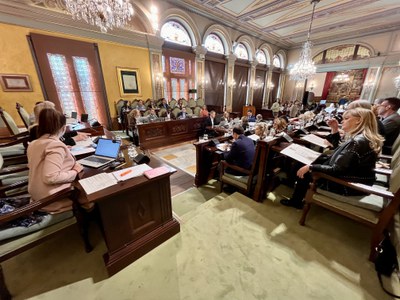 El ple ordinari de l’Ajuntament de Lleida de març.