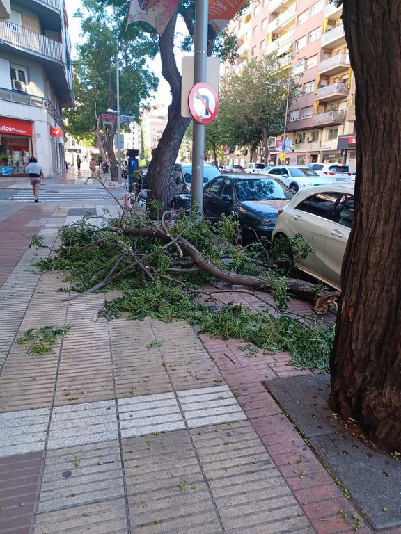 (Arxiu) Caiguda de braques d'una de les antigues mèlies de Rovira Roure.