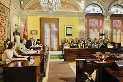 Prop de 100 infants i joves de 23 centres educatius han participat enguany en el Plenari de la Infància i l’Adolescència.