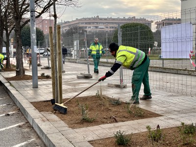 Un operari arranja l'illa verda davant de l'EOI.