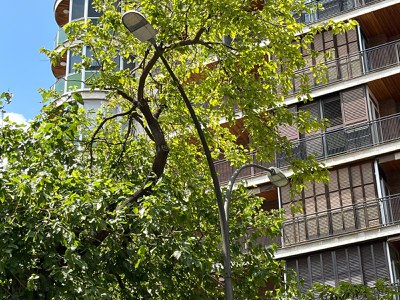 Aquesta és una de les inversions incloses en el nou contracte de gestió de l’enllumenat públic, que permetrà també renovar prop de 15.000 llumeneres ….