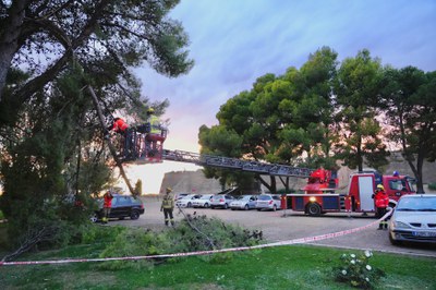 Tala de branques per risc de caiguda dijous a la tarda al Turó de la Seu Vella.