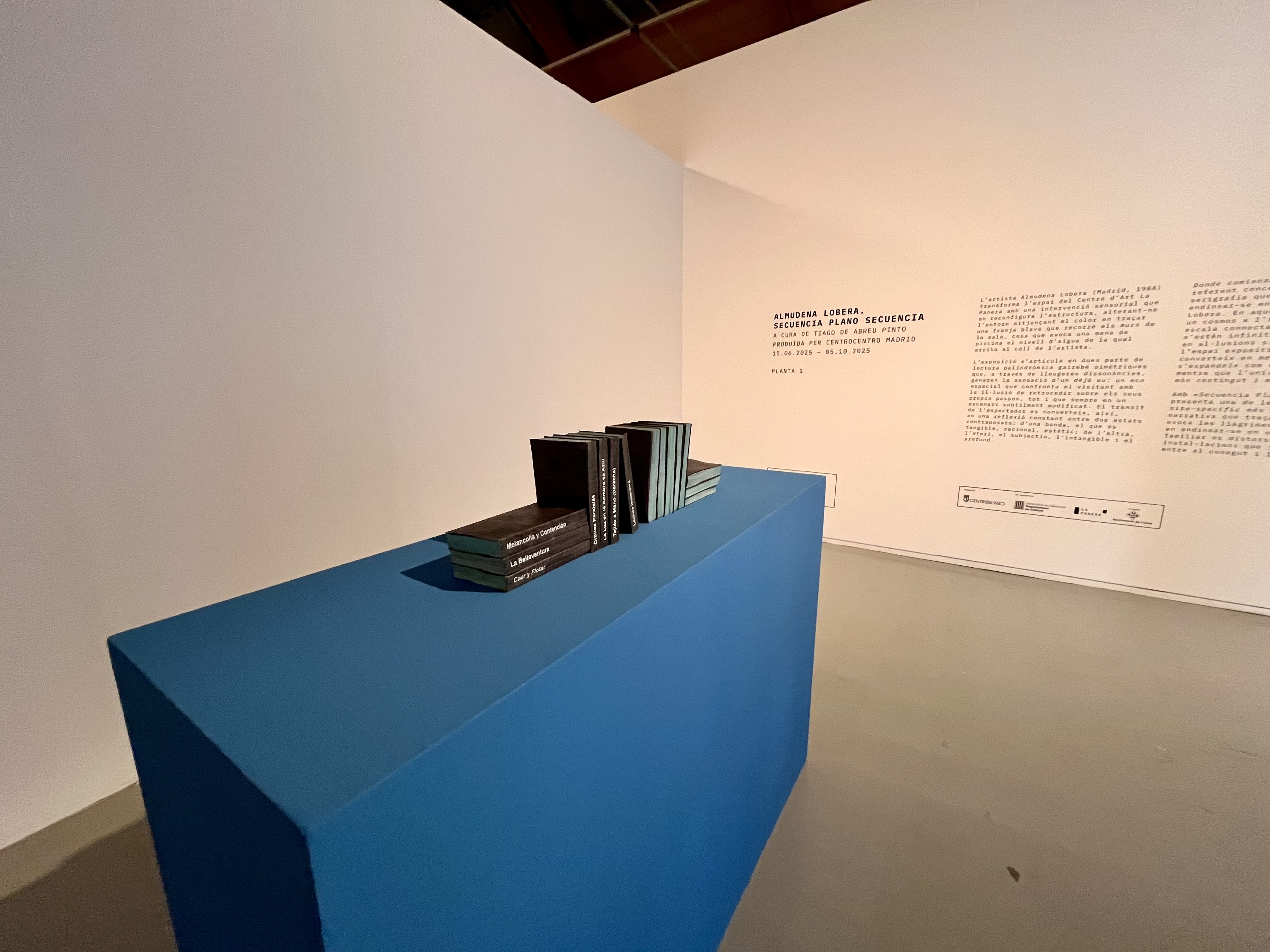 "Secuencia Plano Secuencia", d'Almudena Lobera, a la planta 1
