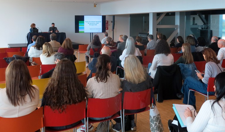 La Taula de treball sectorial de persones amb discapacitat impulsa accions per aconseguir una Lleida de disseny universal