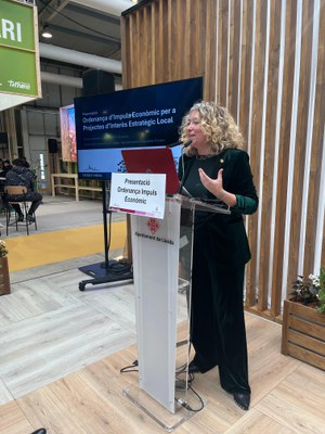 Pilar Bosch, en la presentació de l’Ordenança d’Impuls Econòmic.