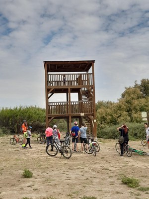 Imatge de l'activitat celebrada aquest diumenge.