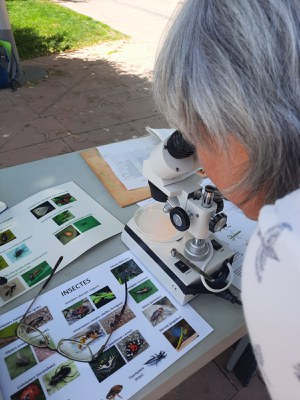 35 persones van participar en aquesta Ecoactivitat.
