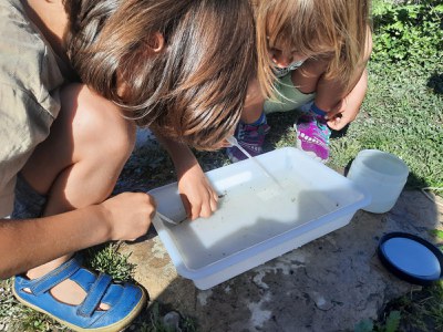 L'Ecoactivitat de descoberta dels invertebrats aquàtics al Segre es va poder veure com es fa la captura de macronivertebrats que viuen dins el riu i ….