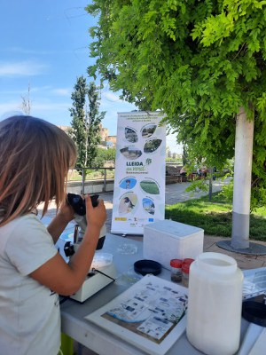L’Ecoactivitat va incloure un Punt d’Observació de la biodiversitat a la plaça de Blas Infante..